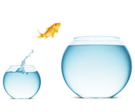 Momentum